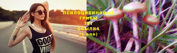 герыч Верхний Тагил