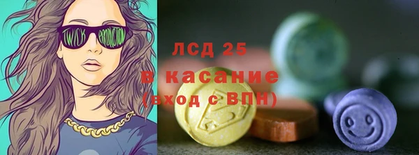 дживик Сосновый Бор