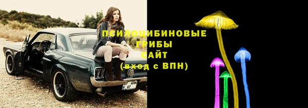 герыч Верхний Тагил