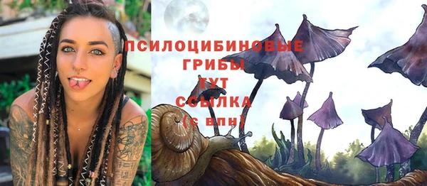 тгк Верея