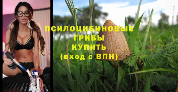 тгк Верея