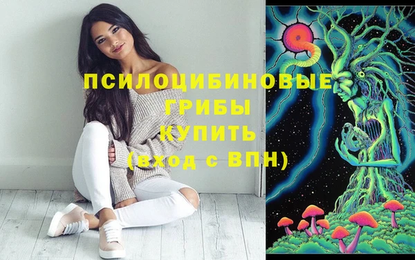 герыч Верхний Тагил