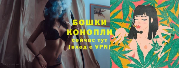 тгк Верея