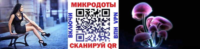 даркнет сайт  Выборг  Псилоцибиновые грибы ЛСД 